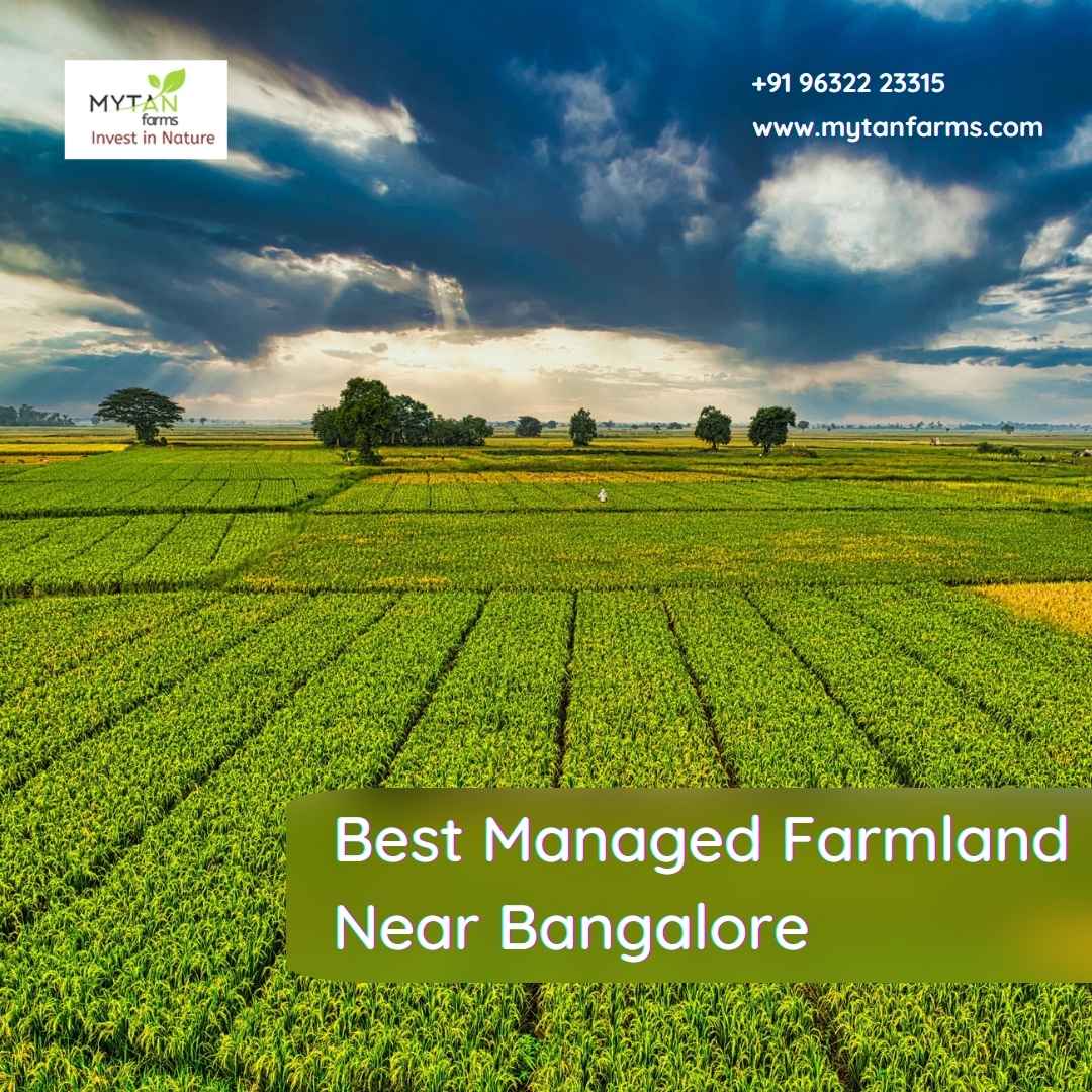 Best Managed Farmland Near Bangalore For A Sustainable Lifestyle